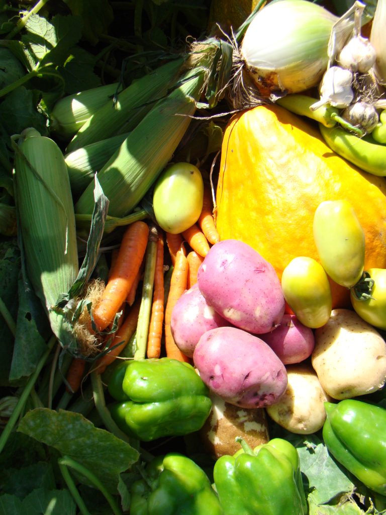 Harvesting and storing your garden vegetables